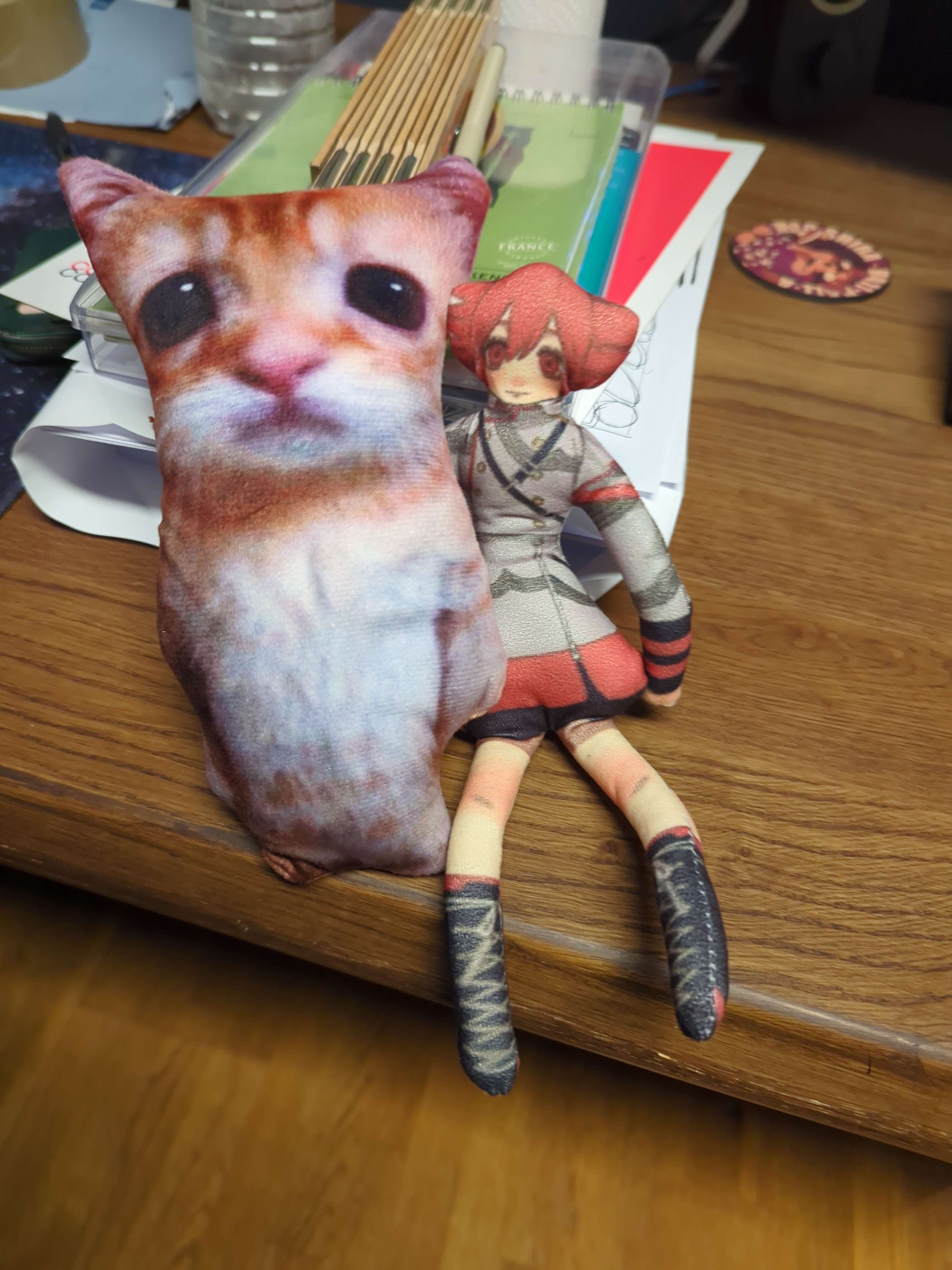 cat_teto.jpg
